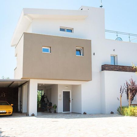 Enervillas Vip Villas With Pool Bbq Kato Alissos 外观 照片