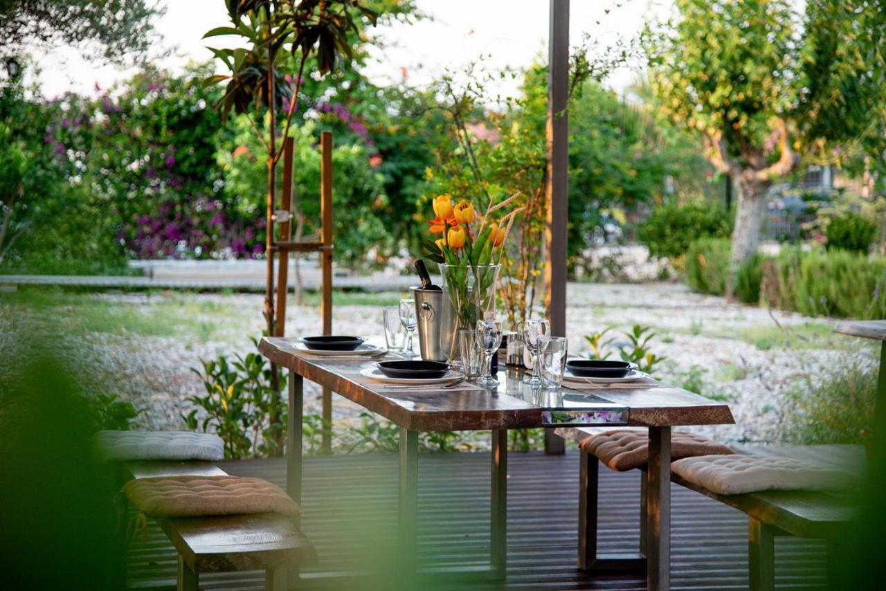 Enervillas Vip Villas With Pool Bbq Kato Alissos 外观 照片